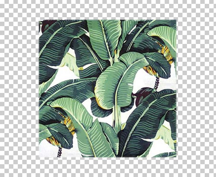 Banana Leaf IPhone 6 Plus PNG, Clipart, Arecaceae, Banana, Banana Leaf, Beverly Hills, Desktop Wallpaper Free PNG Download