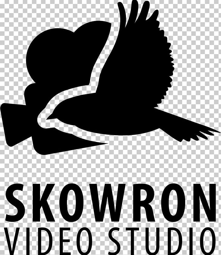UKS Cieszyn Wisła Sports Association Uczniowski Klub Sportowy PNG, Clipart, Artwork, Beak, Bird, Black And White, Brand Free PNG Download