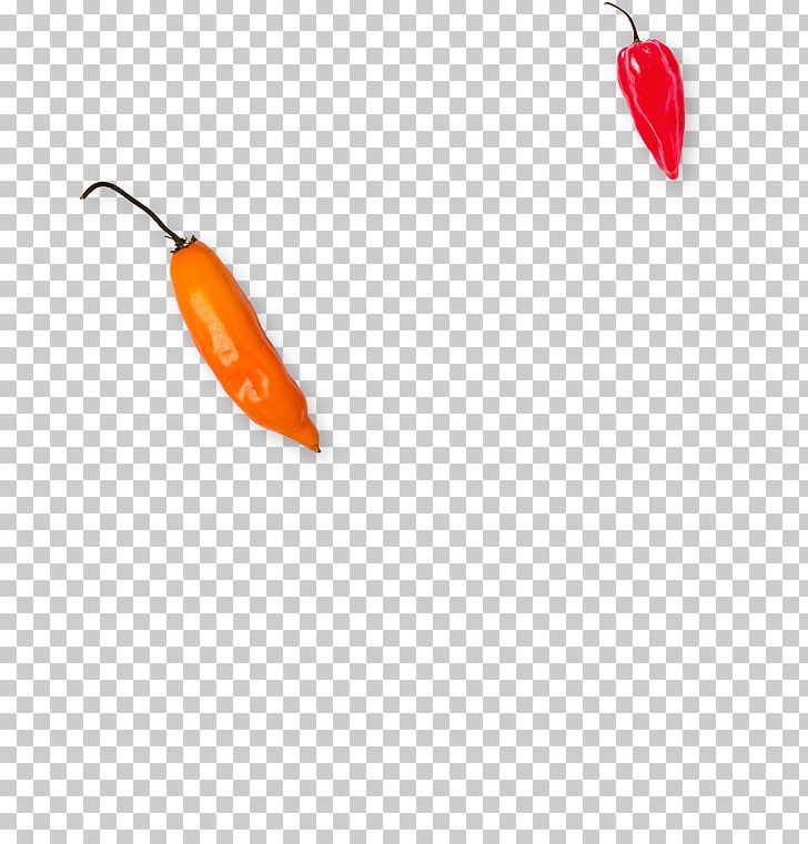 Chili Pepper PNG, Clipart, Bell Peppers And Chili Peppers, Chili Pepper, Fallings Angels, Malagueta Pepper, Orange Free PNG Download