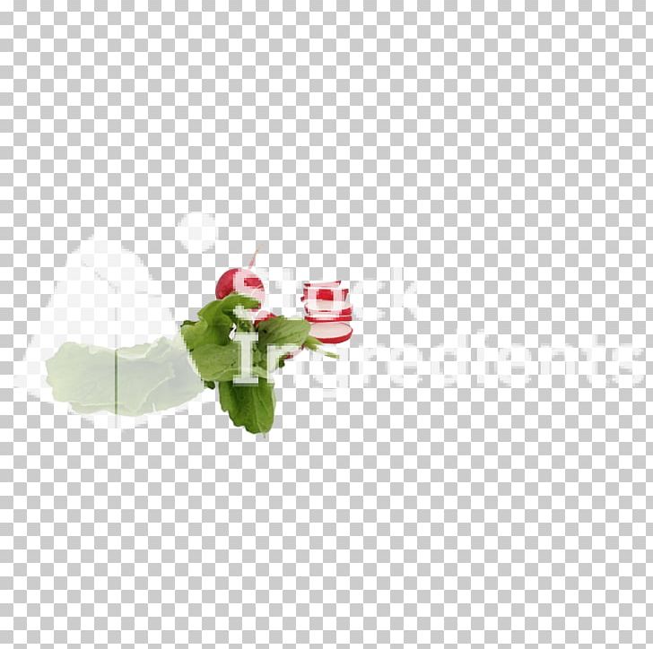 Christmas Ornament Flowering Plant PNG, Clipart, Christmas, Christmas Ornament, Flower, Flowering Plant, Holidays Free PNG Download