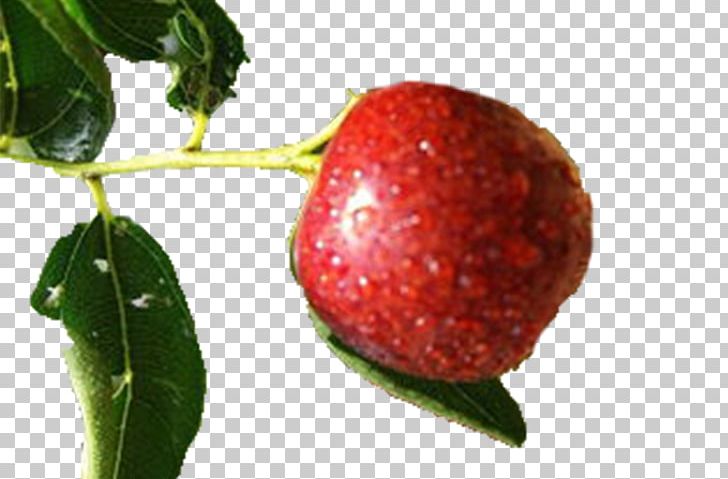 Strawberry Jujube Fruit Auglis PNG, Clipart, Apple, Auglis, Berry, Download, Dried Free PNG Download