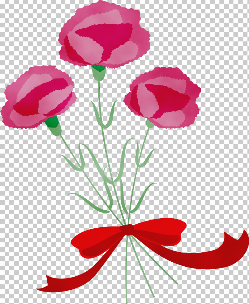 Pink Cut Flowers Flower Plant Petal PNG, Clipart, Anemone, Cut Flowers, Flower, Mothers Day Carnation, Mothers Day Flower Free PNG Download