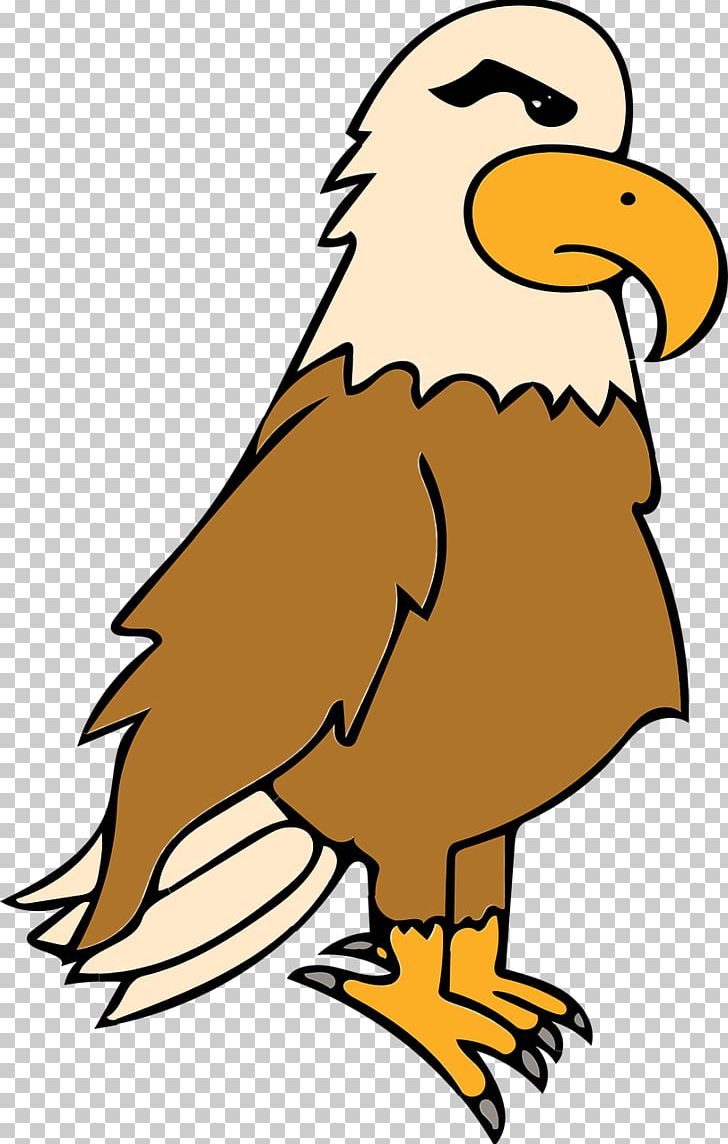 Bird Eagle PNG, Clipart, Animal Figure, Animals, Artwork, Bald Eagle, Beak Free PNG Download