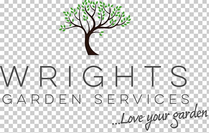 Logo Brand Leaf Plant Stem Font PNG, Clipart, Agnes B, Branch, Branching, Brand, Flora Free PNG Download