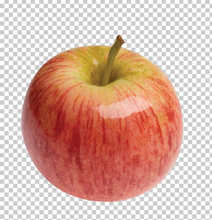 Apple Gala Fruit Granny Smith PNG, Clipart, Accessory Fruit, Apple, Apple Extract, Apples, Cooking Apple Free PNG Download