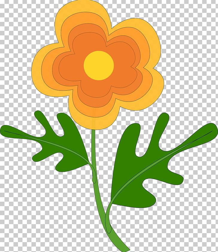 Orange Flower Color Drawing PNG, Clipart, Artwork, Color, Cut Flowers, Drawing, Flora Free PNG Download