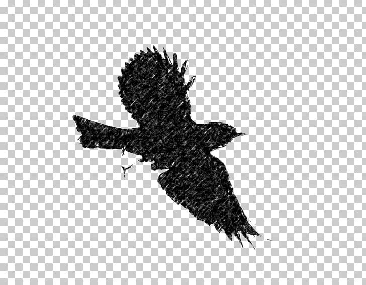 Bird Flight European Robin Silhouette PNG, Clipart, Animals, Beak, Bird, Bird Flight, Bird Of Prey Free PNG Download