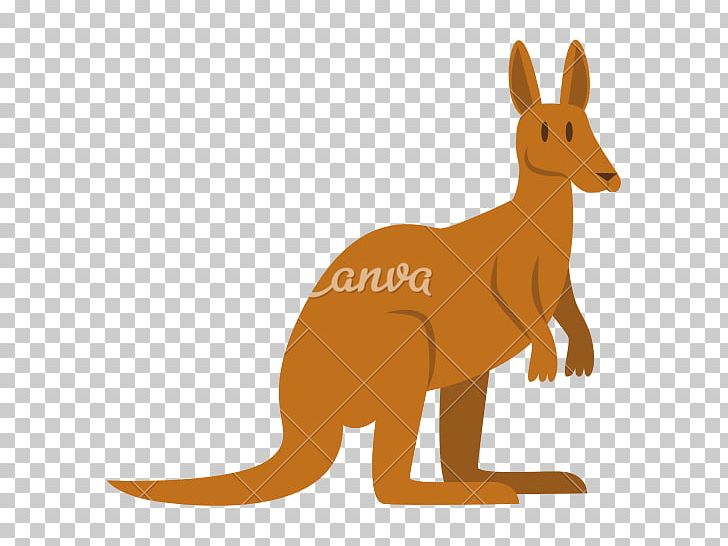 Kangaroo Red Fox Macropodidae Cartoon PNG, Clipart, Animals, Carnivoran, Cartoon, Dog Like Mammal, Drawing Free PNG Download