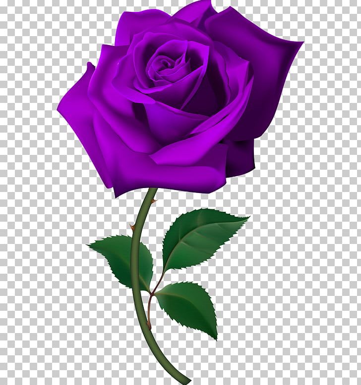 Desktop Flower PNG, Clipart, Clip Art, Cut Flowers, Desktop Wallpaper, Floral Design, Flower Free PNG Download
