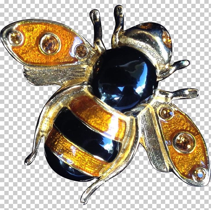 Beetle Pollinator Brooch Jewellery PNG, Clipart, Amber, Animals, Arthropod, Bee, Beetle Free PNG Download