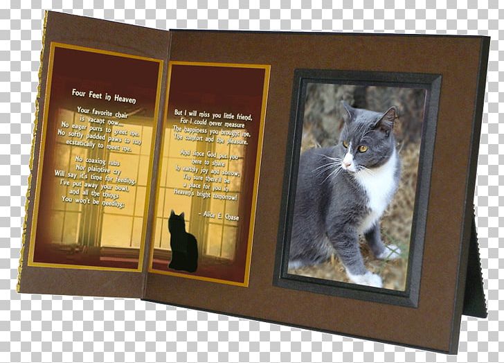 Cat Pet Dog Rainbow Bridge Paw PNG, Clipart, Advertising, Animal Loss, Animals, Bestattungsurne, Cat Free PNG Download