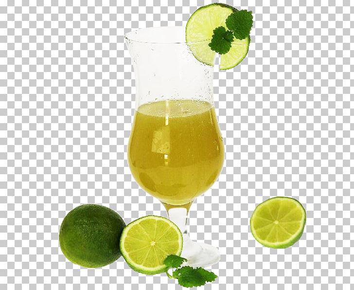 Limeade Limonana Lemonade Cocktail Garnish PNG, Clipart, Citric Acid, Citrus, Cocktail, Cocktail Garnish, Drink Free PNG Download