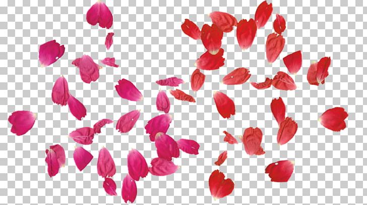 Rose Leaf PNG, Clipart, Free Content, Heart, Hybrid Tea Rose, Leaf, Love Free PNG Download