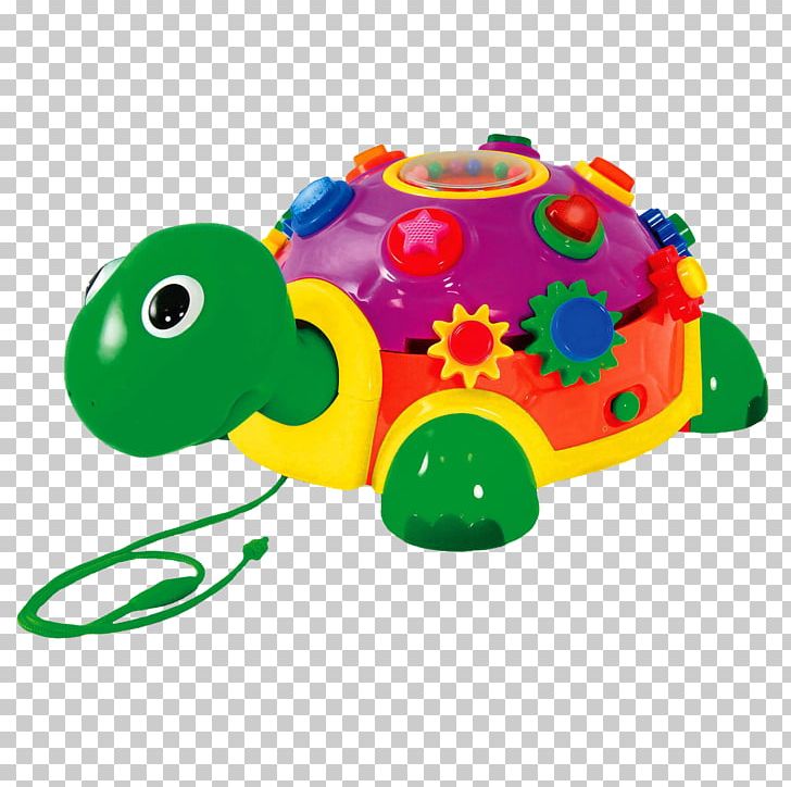 Turtle Educational Toys Child Toddler PNG, Clipart, Activity, Animal Figure, Animals, Baby Toys, Child Free PNG Download