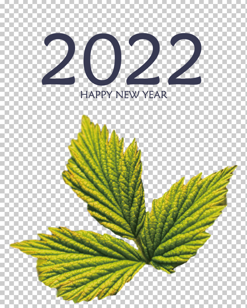 2022 Happy New Year 2022 New Year 2022 PNG, Clipart, Biology, Hemp, Herbal Medicine, Leaf, Meter Free PNG Download