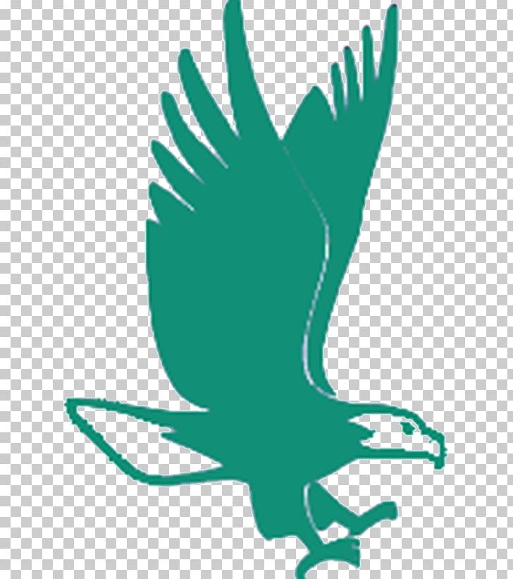 Computer Software Educational Software Val Verde Unified School District Beak PNG, Clipart, Beak, Bird, Computer Software, Eagle, Education Free PNG Download