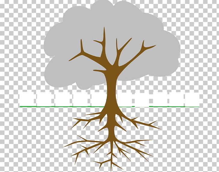 The Great Kapok Tree Branch PNG, Clipart, Blog, Branch, Christmas Tree, Family Tree, Flower Free PNG Download