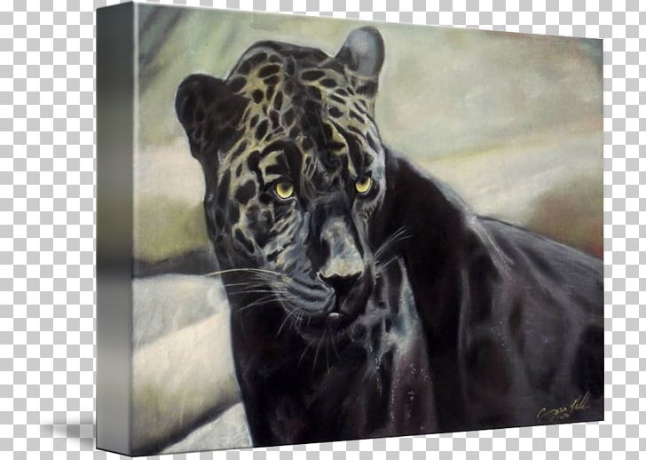 Tiger Jaguar Black Panther Leopard Lion PNG, Clipart, Animals, Art, Big Cats, Black Panther, Canvas Free PNG Download
