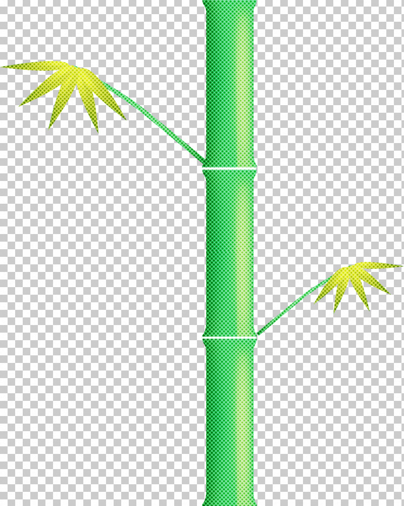 Bamboo Leaf PNG, Clipart, Bamboo, Green, Leaf, Plant, Plant Stem Free PNG Download