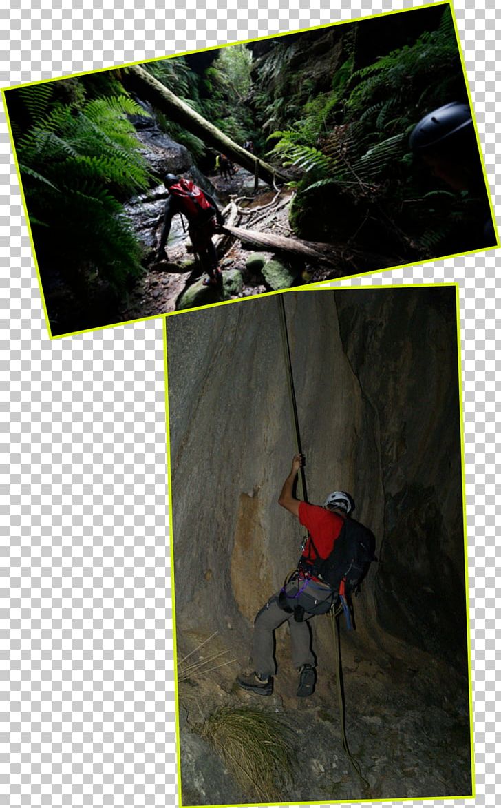 Rock-climbing Equipment Sporting Goods Adventure Film PNG, Clipart, Adventure, Adventure Film, Climbing, Others, Rockclimbing Equipment Free PNG Download