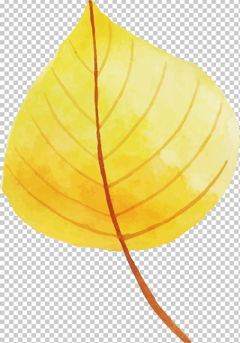 Autumn Leaf Colorful Leaf PNG, Clipart, Autumn Leaf, Biology, Colorful Leaf, Leaf, Plants Free PNG Download