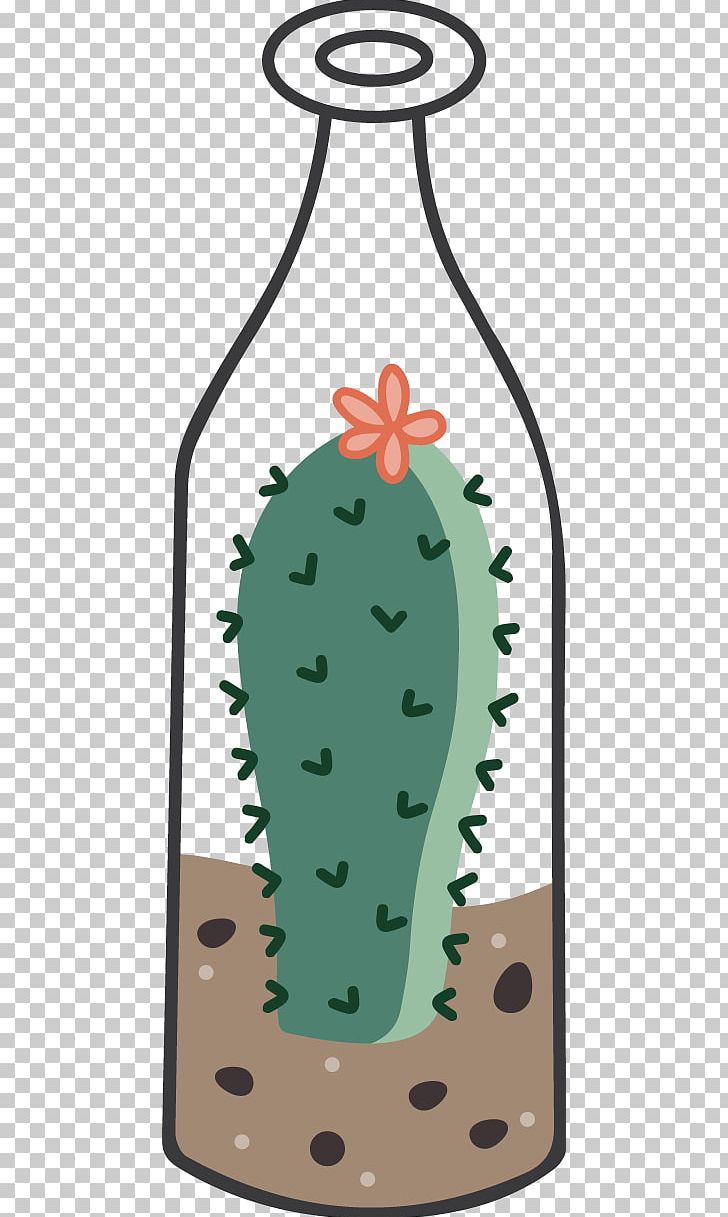 Cactaceae Cartoon Illustration PNG, Clipart, Alcohol Bottle, Amphibian, Botanical Illustration, Bottles, Cactus Free PNG Download