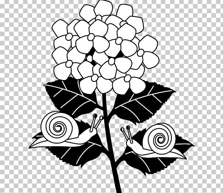 Floral Design Coloring Book Visual Arts Black And White PNG, Clipart, Artwork, Black, Black And White, Branch, Coloring Book Free PNG Download