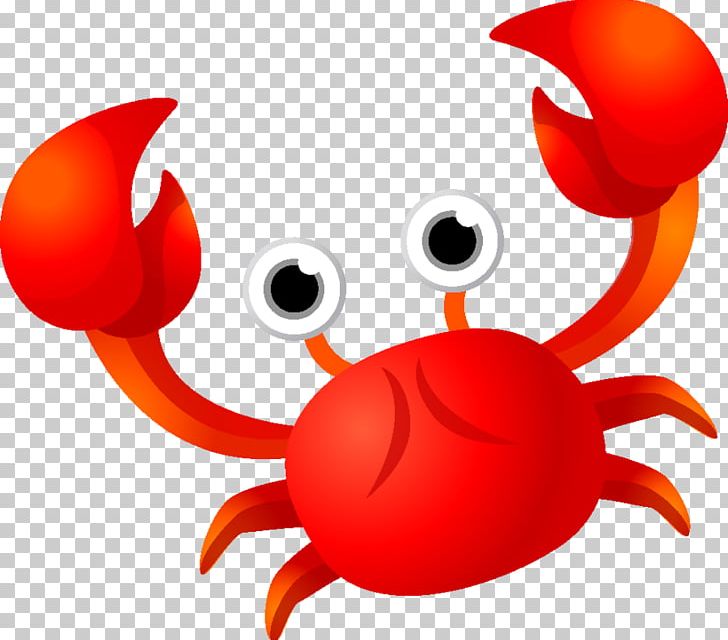 Flower Crab PNG, Clipart, Animals, Artwork, Baby, Chesapeake Blue Crab, Christmas Island Red Crab Free PNG Download