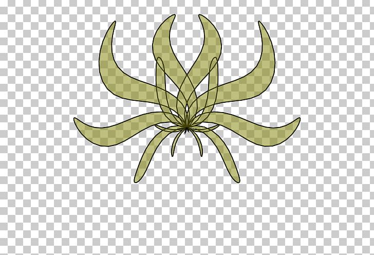 Flower Insect Plant Stem Leaf PNG, Clipart, Artwork, Cairo, Flower, Insect, Invertebrate Free PNG Download