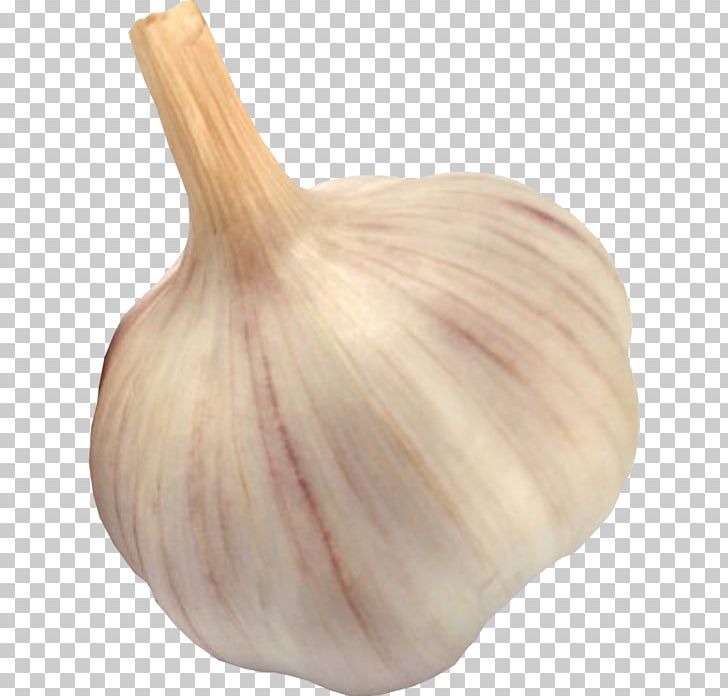 Elephant Garlic Shallot Vegetable Food PNG, Clipart, Ajoblanco, Computer Icons, Cucumber, Elephant Garlic, Food Free PNG Download