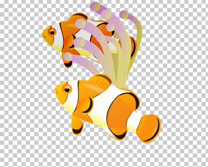 Nemo Ocellaris Clownfish PNG, Clipart, Art, Cartoon, Clownfish, Clownfish Cliparts, Computer Wallpaper Free PNG Download