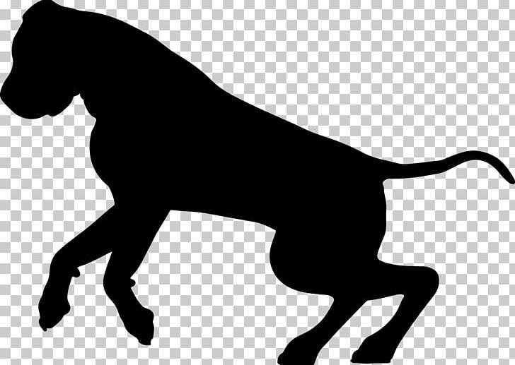 Dog Breed English Mastiff Tibetan Mastiff Great Dane American Mastiff PNG, Clipart, American Mastiff, Bandog, Black, Black And White, Breed Free PNG Download