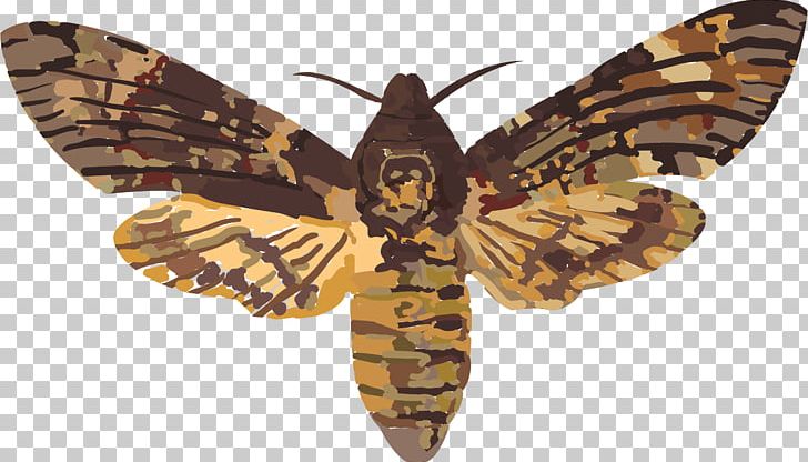 Insect Acherontia Atropos Death Sphingidae Moth PNG, Clipart, Acherontia Atropos, Animals, Arthropod, Bombycidae, Brush Footed Butterfly Free PNG Download