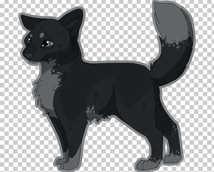 Schipperke Whiskers Cat Dog Breed PNG, Clipart, Animals, Black, Breed, Carnivoran, Cat Free PNG Download