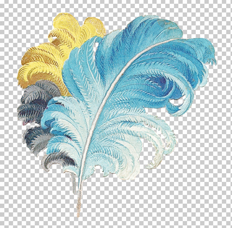 Feather PNG, Clipart, Aqua, Feather, Flower, Leaf, Plant Free PNG Download