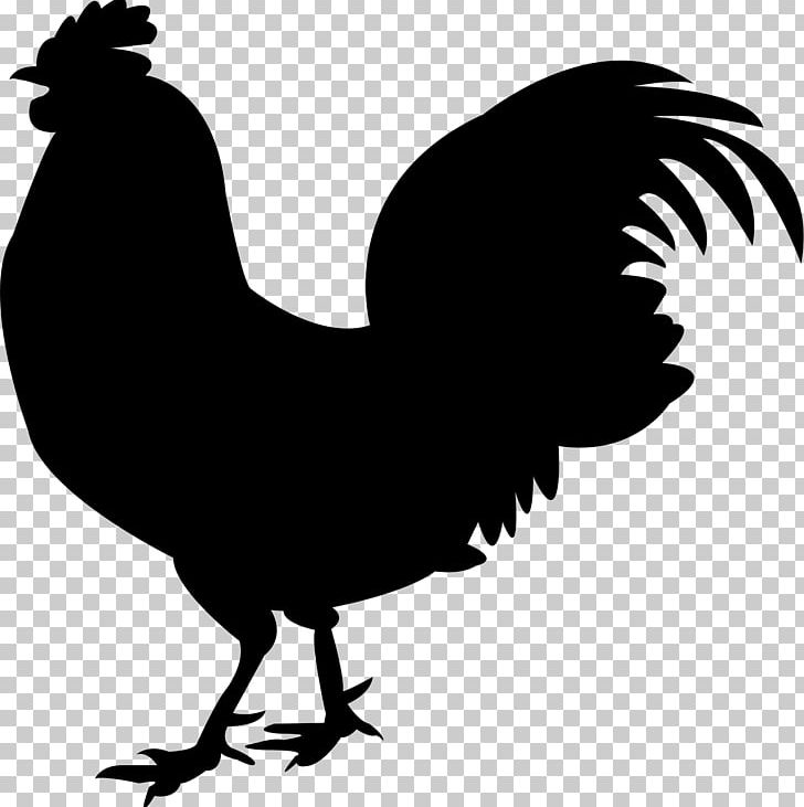 Chicken Meat Silkie Rooster PNG, Clipart, Beak, Bird, Black And White, Chicken, Chicken Meat Free PNG Download