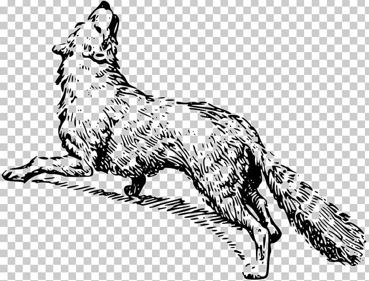 Drawing Black And White PNG, Clipart, Animals, Arctic Fox, Black And White, Carnivoran, Cat Free PNG Download