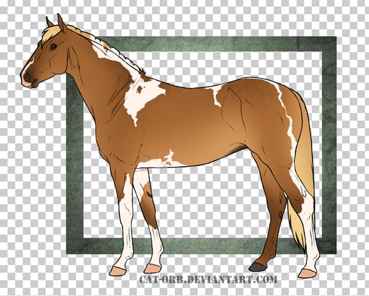 Foal Mane Stallion Mare Bridle PNG, Clipart,  Free PNG Download