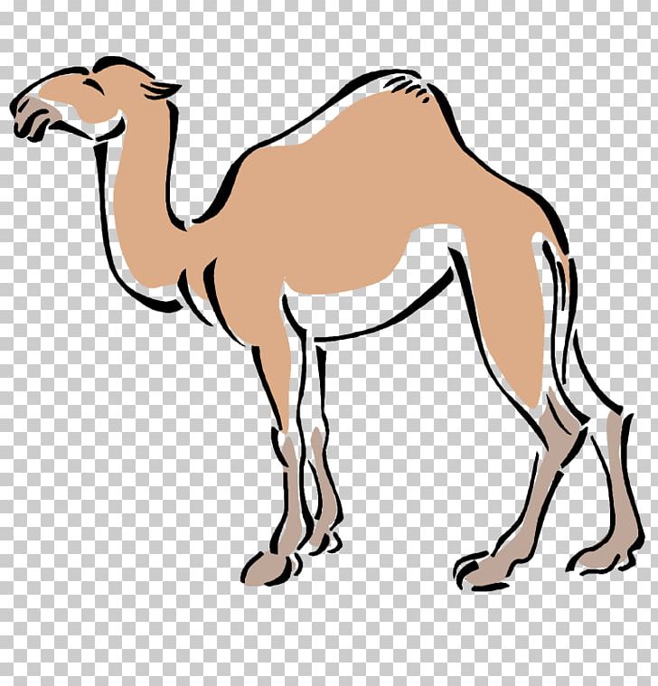 Bactrian Camel PNG, Clipart, Animal, Animal Figure, Arabian Camel, Artwork, Bactrian Camel Free PNG Download