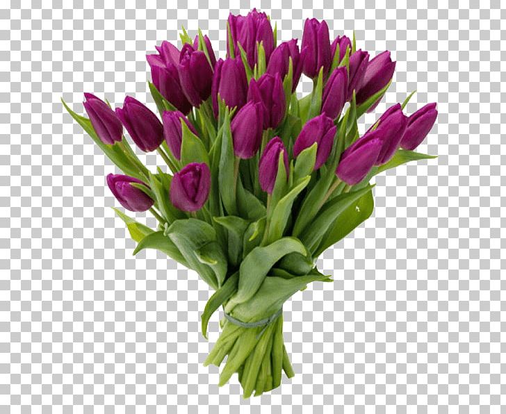 Tulip Flower Bouquet Gift Purple PNG, Clipart, Birthday, Blue, Color, Cut Flowers, Dostavka Tsvetov Free PNG Download