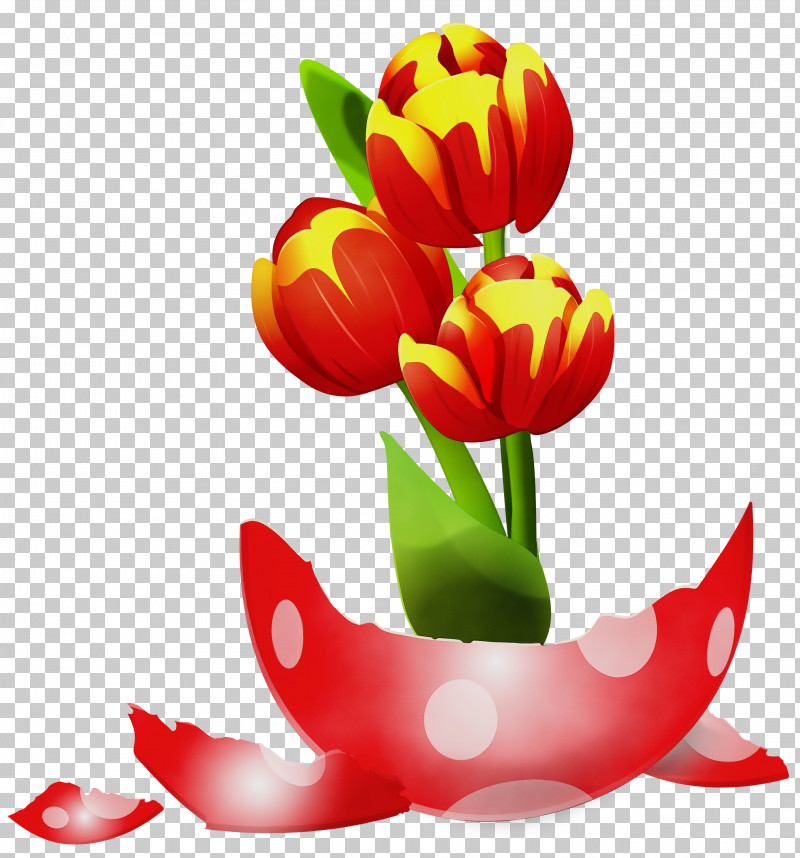 Petal Flower Tulip Plant Cut Flowers PNG, Clipart, Cut Flowers, Flower, Lily Family, Paint, Petal Free PNG Download