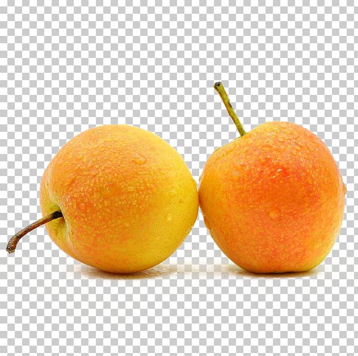 Clementine Pear Tangerine Food PNG, Clipart, Apple, Apple Pears, Bitter Orange, Blood Orange, Citrus Free PNG Download