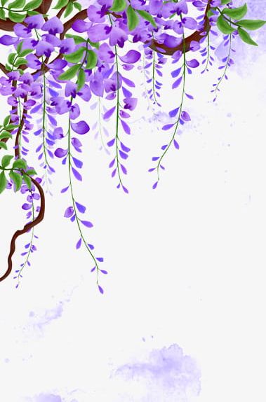 Wisteria Vines PNG, Clipart, Abstract, Background, Backgrounds, Branch, Decoration Free PNG Download