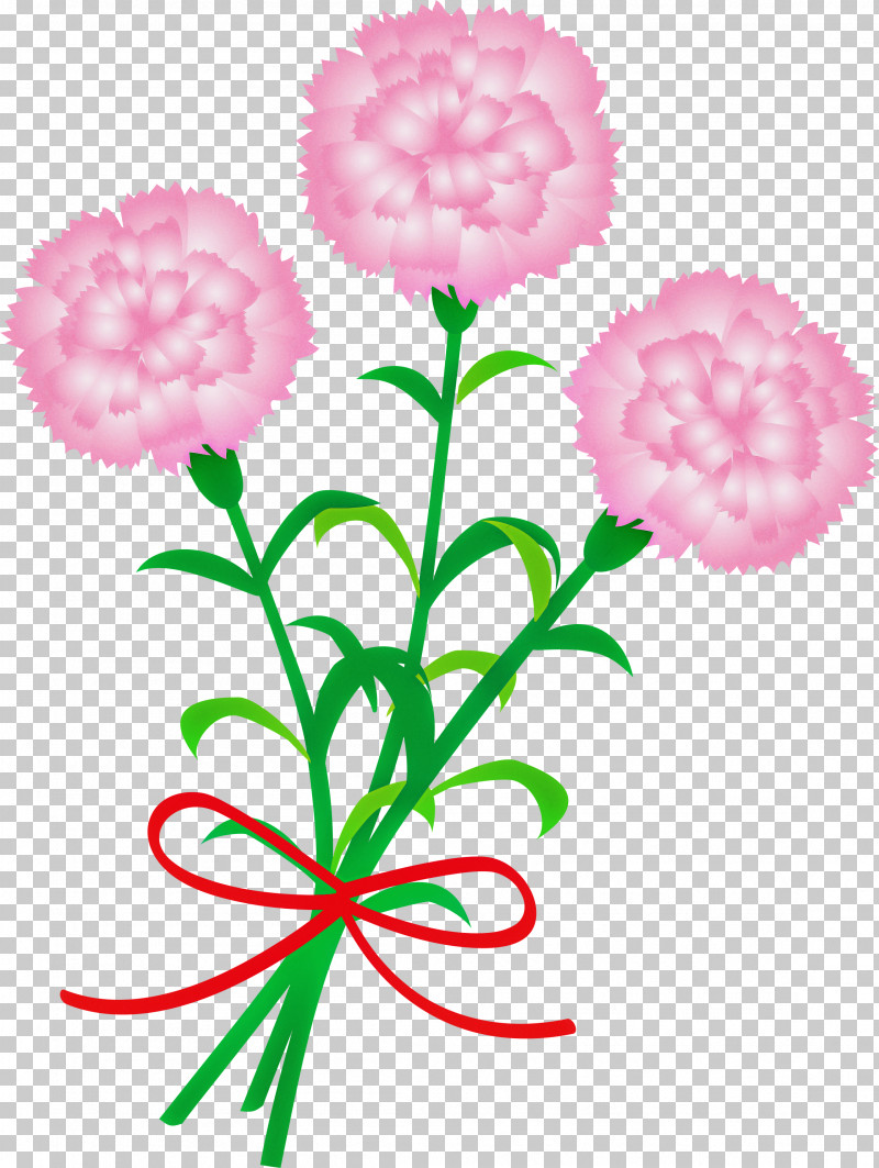 Mothers Day Carnation Mothers Day Flower PNG, Clipart, Carnation, Cut Flowers, Flower, Mothers Day Carnation, Mothers Day Flower Free PNG Download