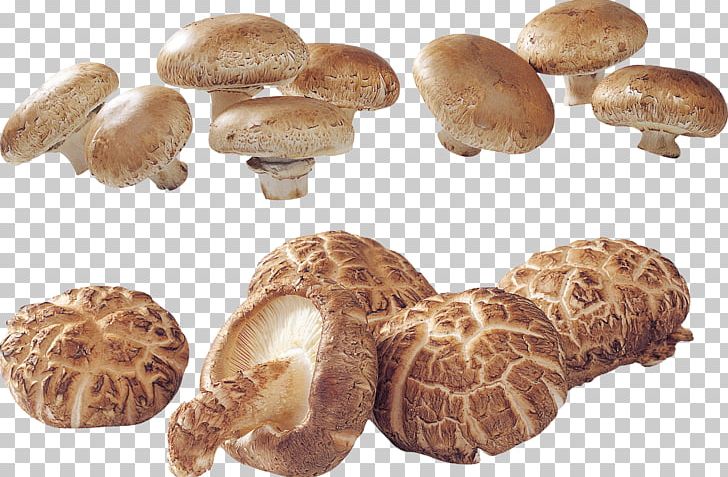 Edible Mushroom Matsutake Shiitake Agaricaceae PNG, Clipart, Agaricaceae, Edible Mushroom, Fungus, Ingredient, Matsutake Free PNG Download