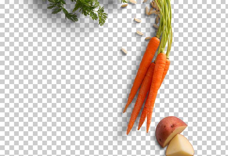 Baby Carrot Pet Food Ingredient Recipe PNG, Clipart, Baby Carrot, Carrot, Diet, Diet Food, Food Free PNG Download