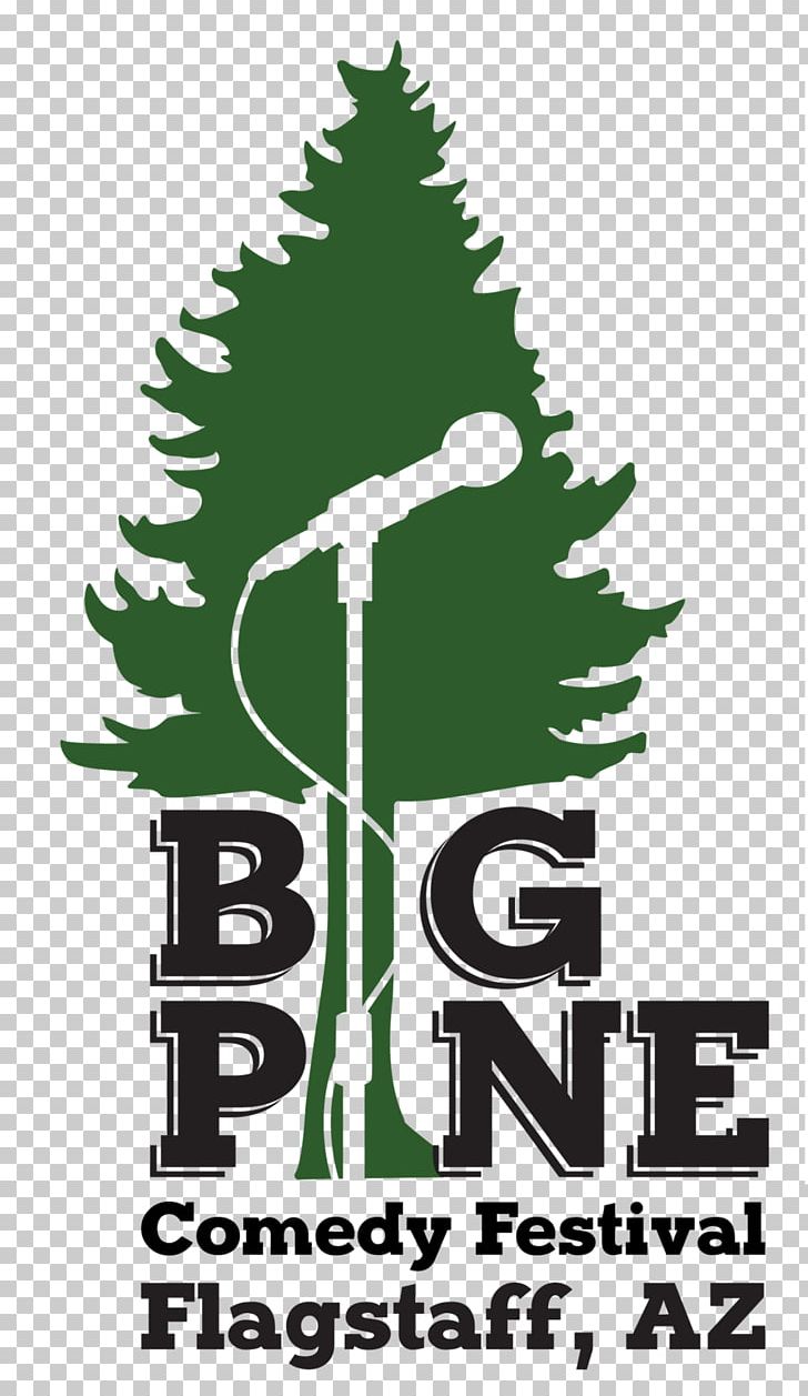 Logo Christmas Tree Pine Font PNG, Clipart, Big, Brand, Christmas, Christmas Tree, Comedy Free PNG Download
