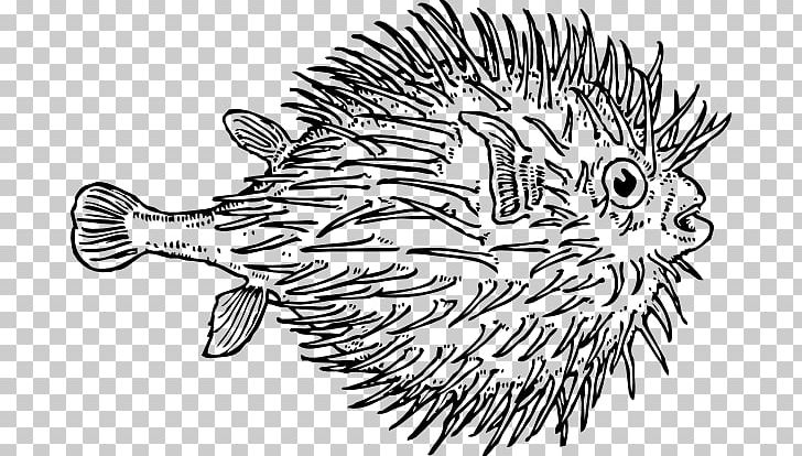 Pufferfish Coloring Book Shark PNG, Clipart, Artwork, Black And White, Blowfish Cliparts, Coloring Book, Deep Sea Creature Free PNG Download