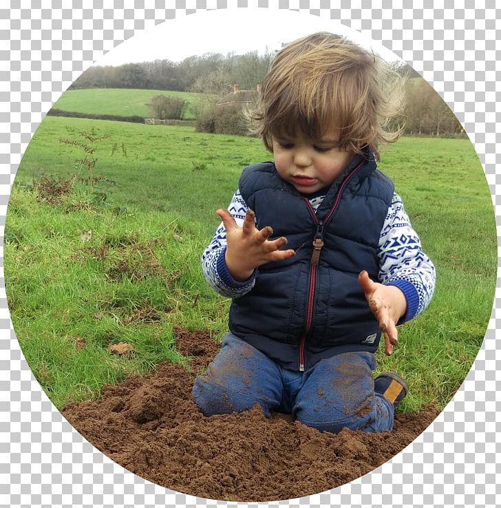 Toddler Soil Tree PNG, Clipart, Child, Field, Grass, Nature, Plant Free PNG Download