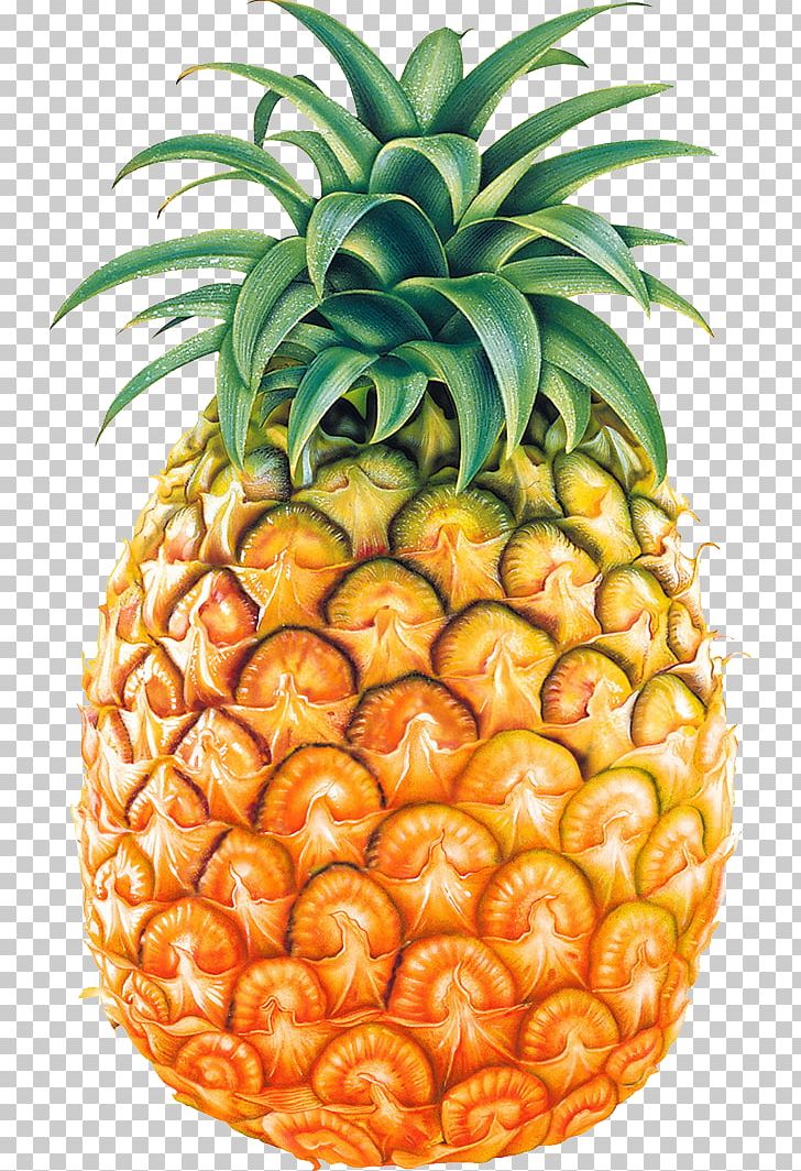 Pineapple Fruit PNG, Clipart, Ananas, Bromeliaceae, Clip Art, Computer Icons, Download Free PNG Download